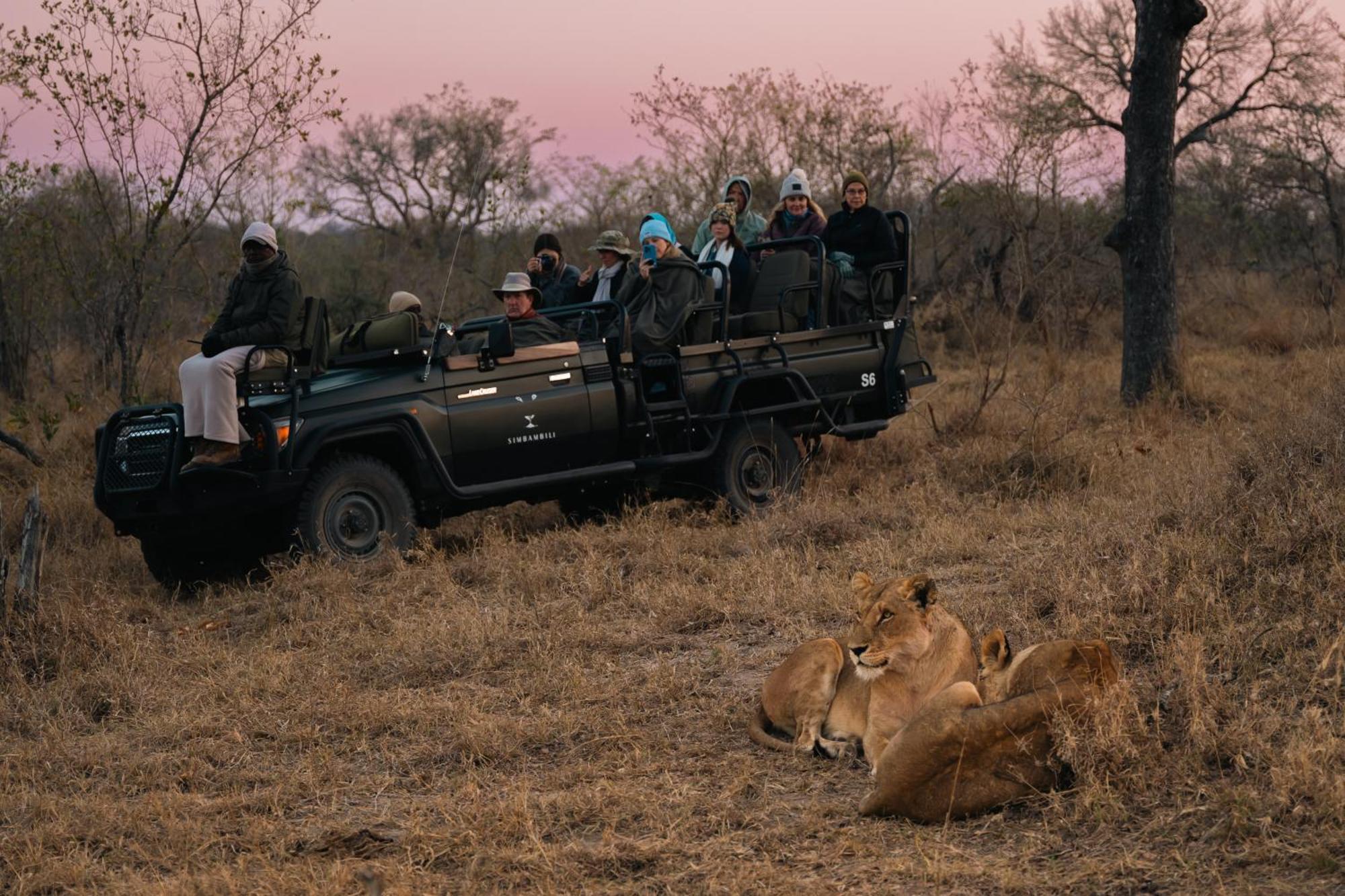 Thornybush Simbambili Lodge Sabi Sand Game Reserve Exterior photo