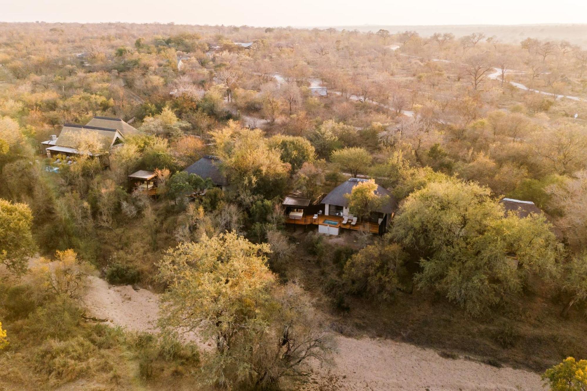 Thornybush Simbambili Lodge Sabi Sand Game Reserve Exterior photo